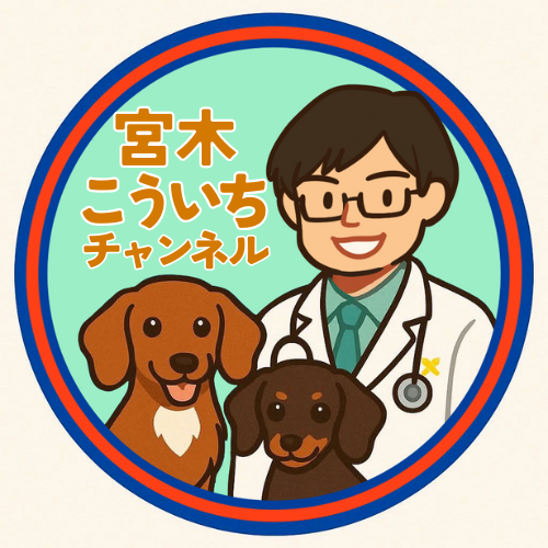 宮木こういちチャンネル