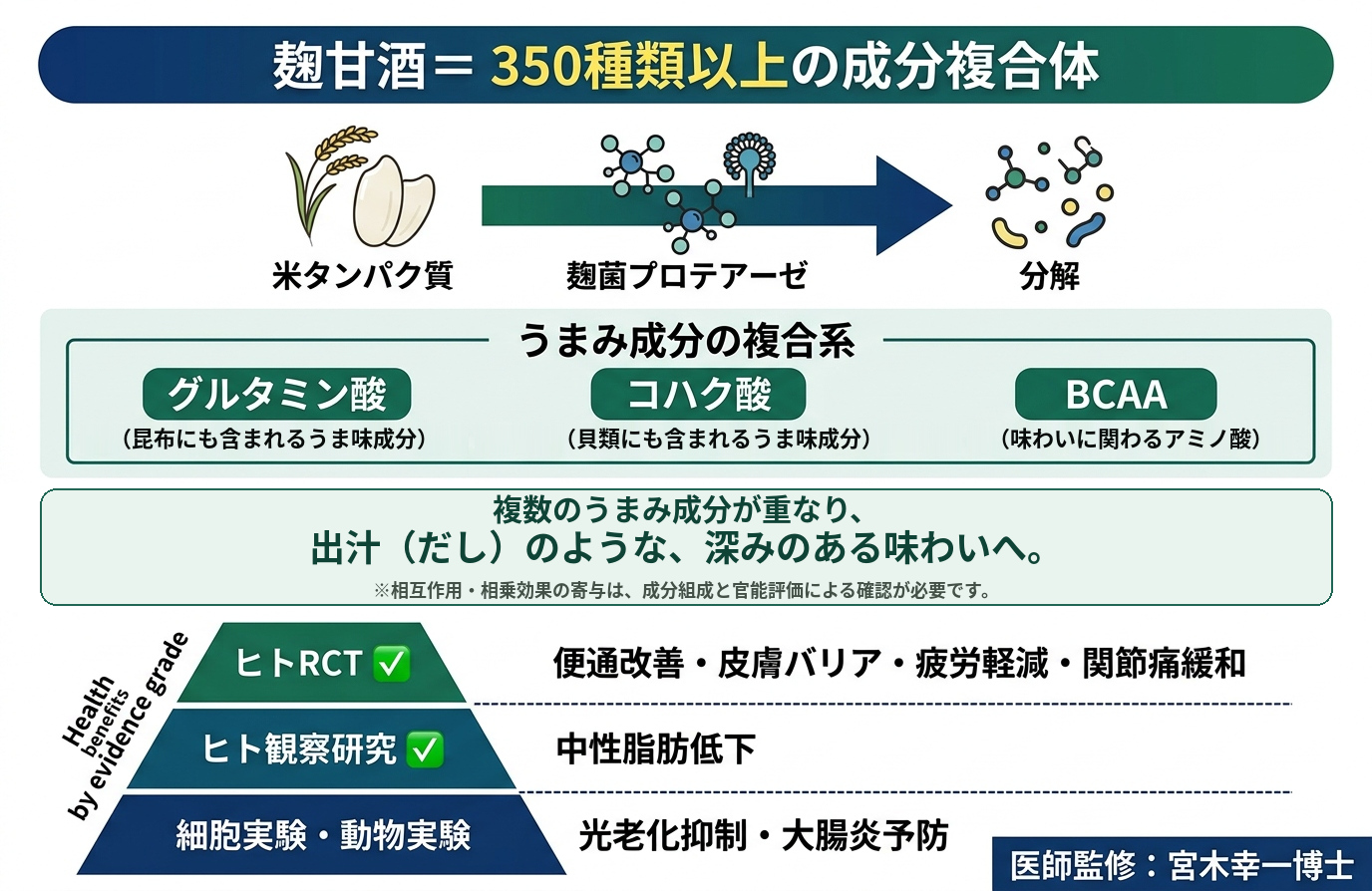 麹甘酒の成分とエビデンス段階を示す図