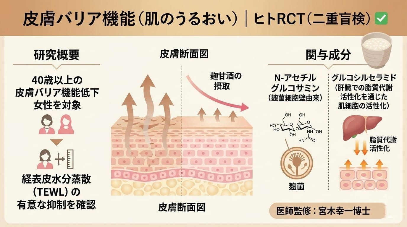 麹甘酒と皮膚バリア機能のヒトRCTを説明する図