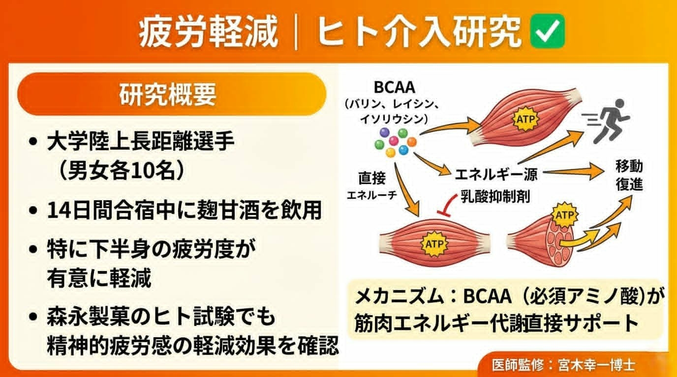 甘酒と疲労軽減のヒト介入研究を説明する図
