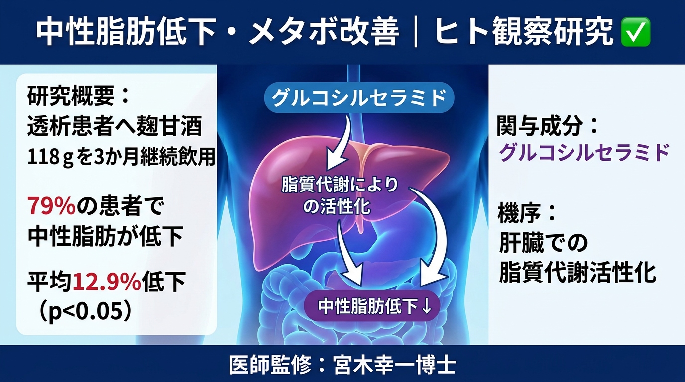 甘酒と中性脂肪低下のヒト観察研究を説明する図