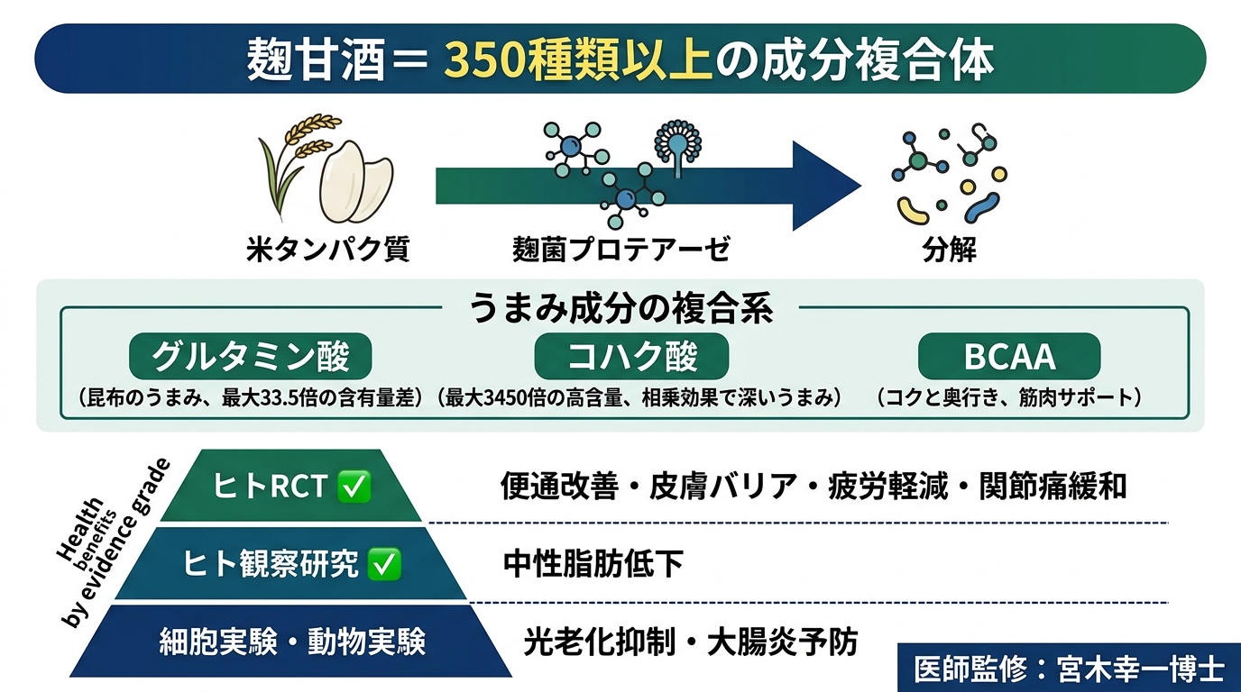 麹甘酒の成分とエビデンス段階を示す図