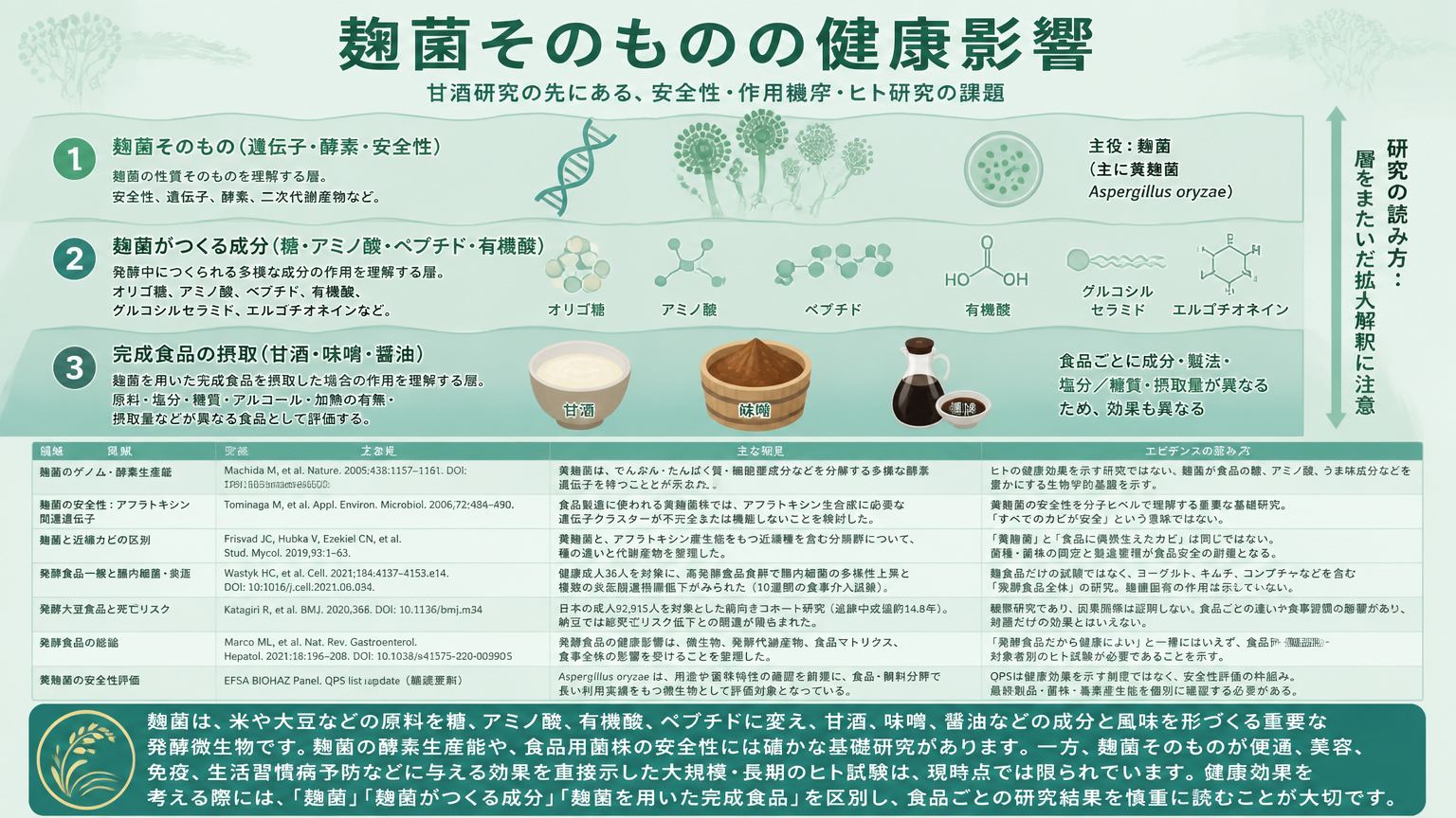 麹そのものの健康影響をまとめたインフォグラフィック