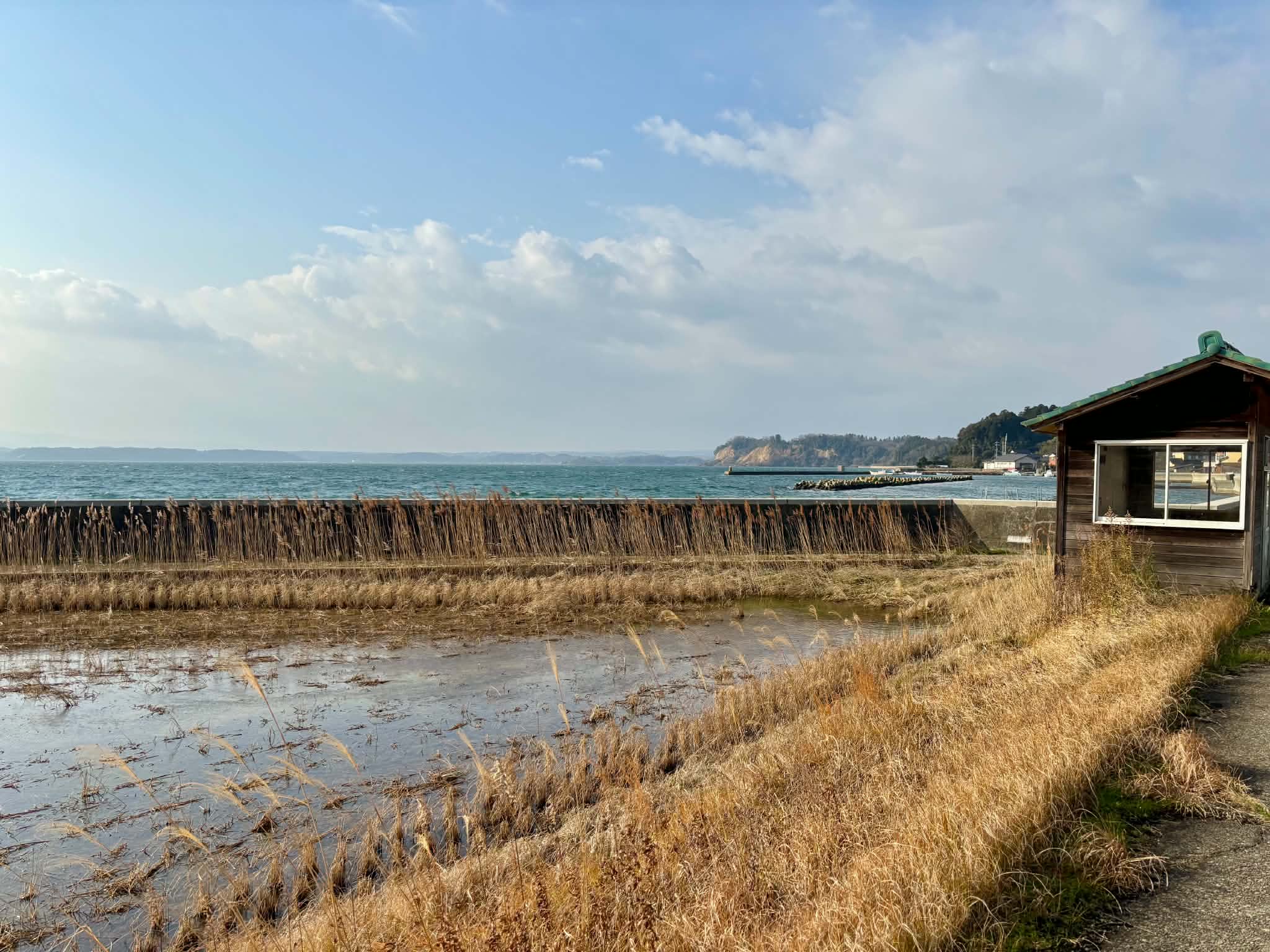 七尾市海岸沿いの田んぼ