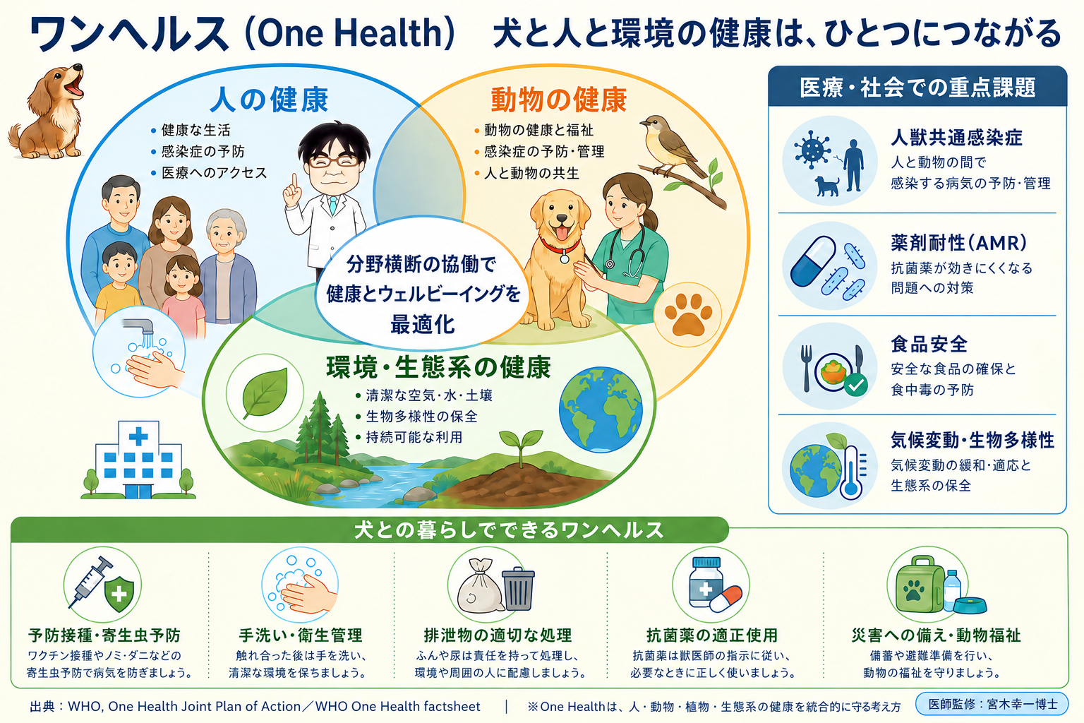 One Healthに関する宮木先生解説インフォグラフィック